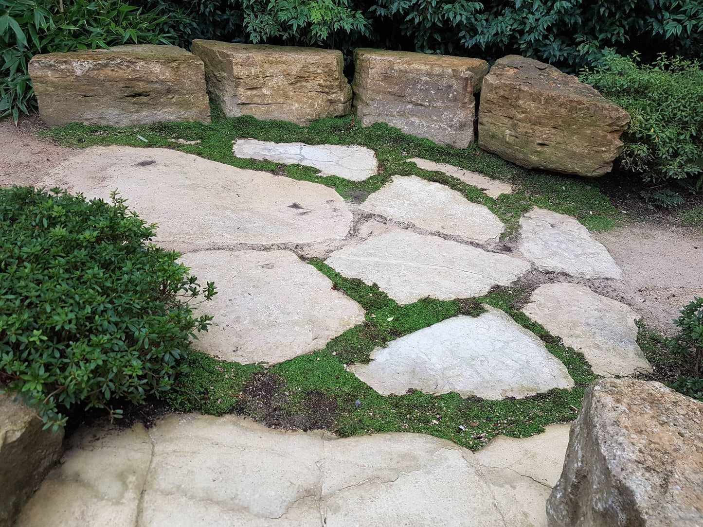 JURASSIC STEPPING STONES