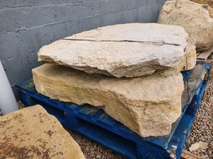 JURASSIC STEPPING STONES