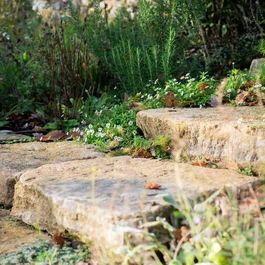 JURASSIC STEPPING STONES