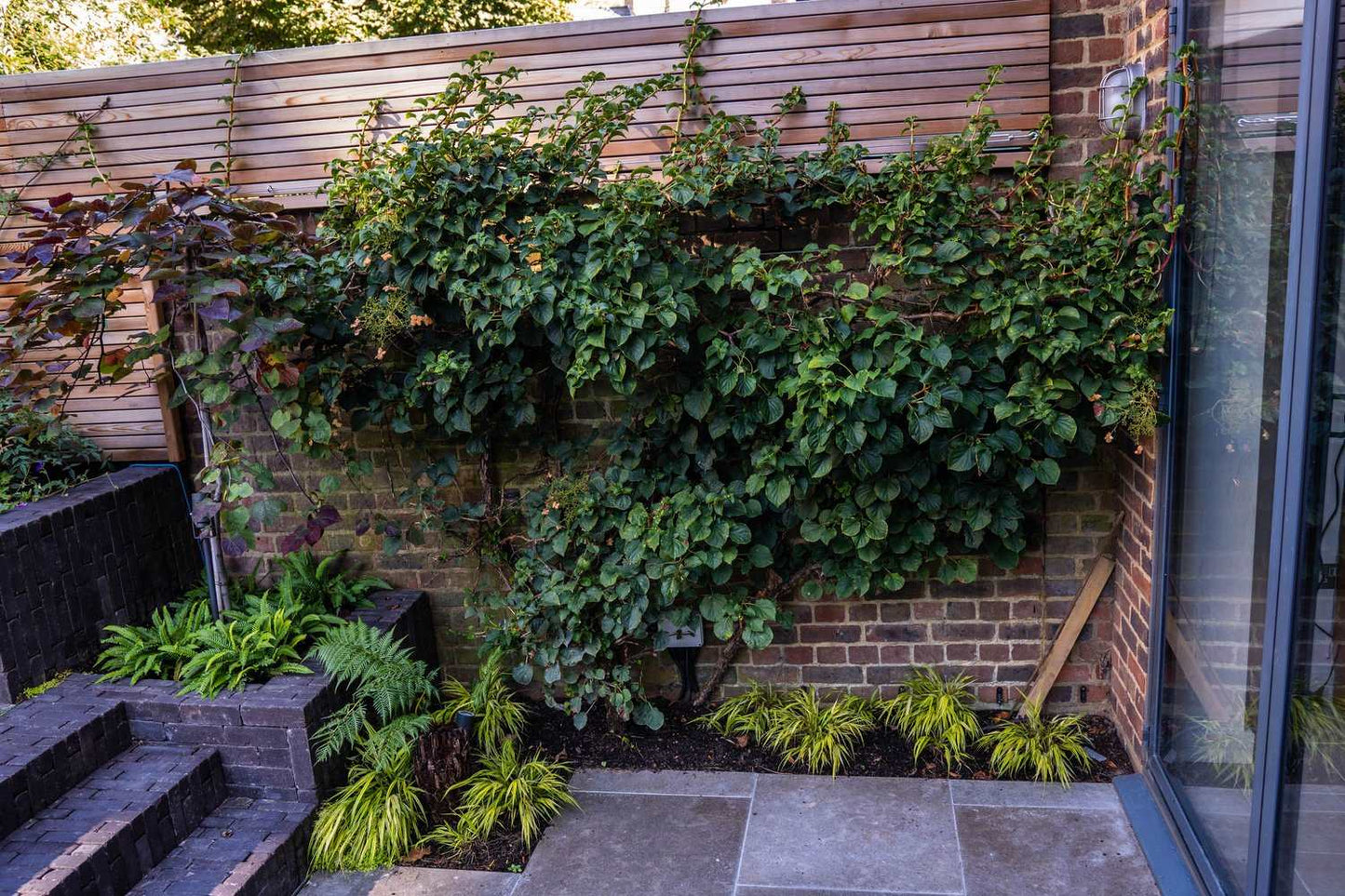 LINTON CLAY PAVERS - 50mm x 200mm x 60mm