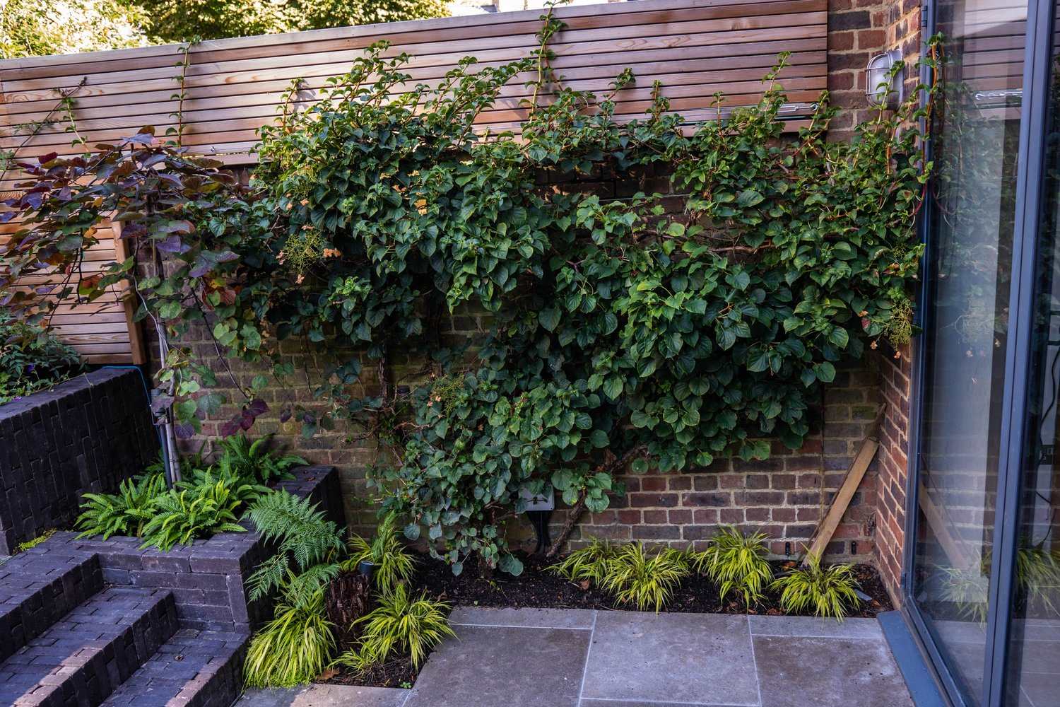 LINTON CLAY PAVERS - 50mm x 200mm x 60mm