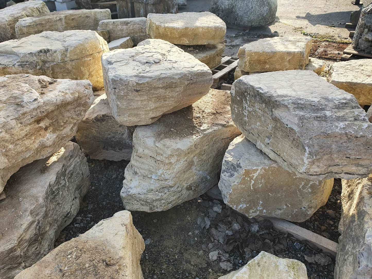 PURBECK FOSSILISED STONE