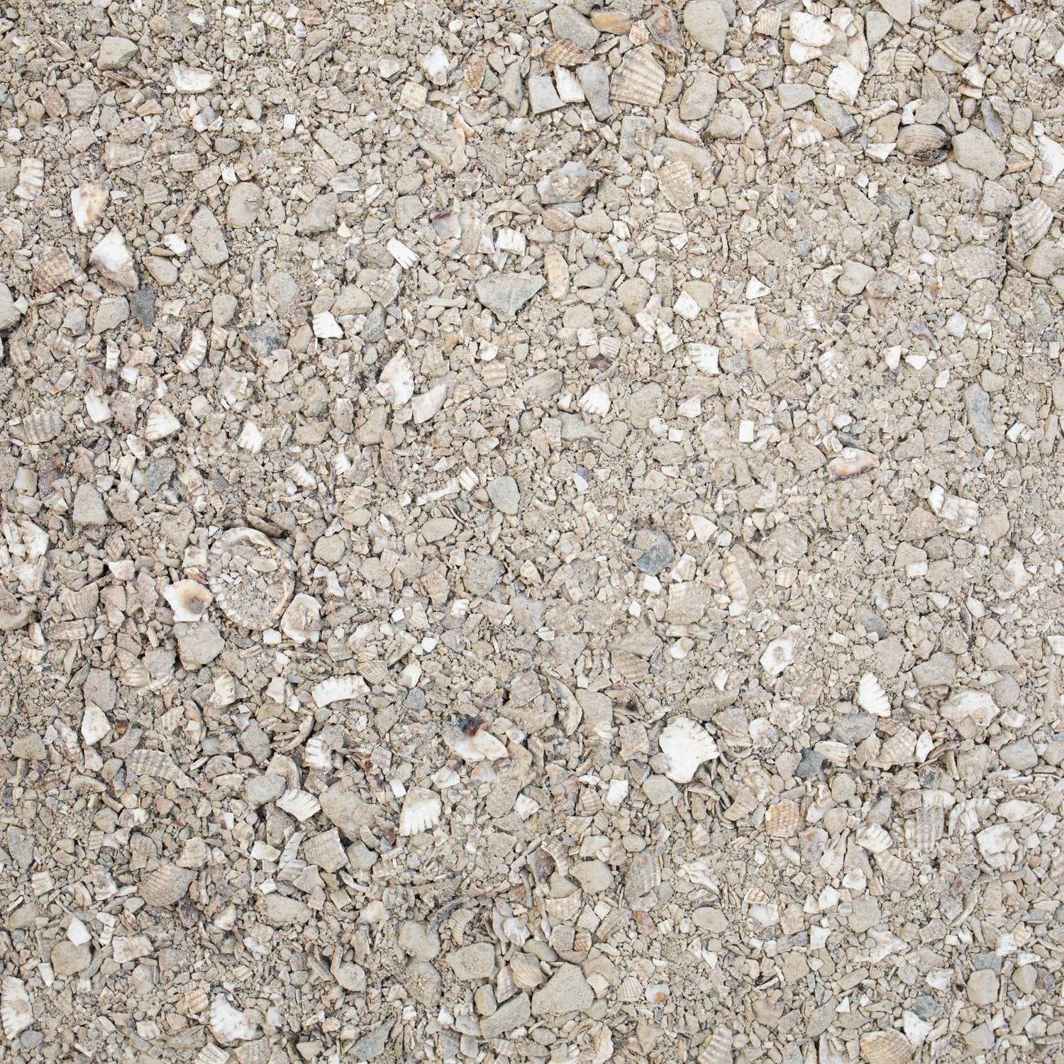 BRADWELL SHELL BLEND - 0/-12MM