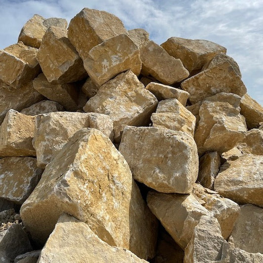PURBECK FOSSILISED STONE