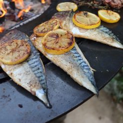 GRIDDLE RING FIREPIT/GRILL - Perfect for Outdoor Living & Plancha Cooking