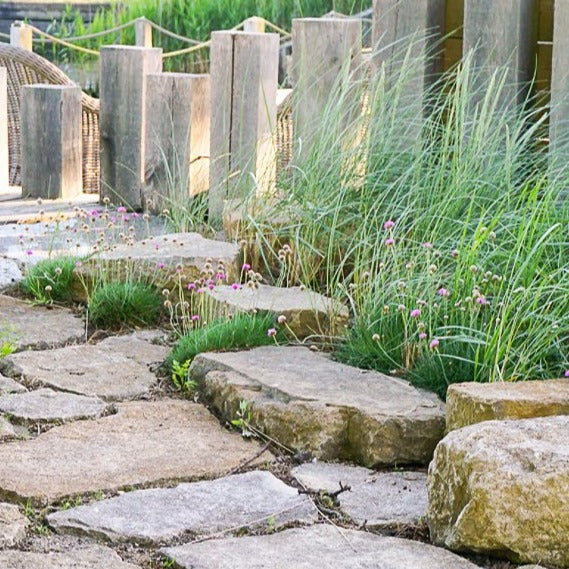 PURBECK FOSSILISED STONE