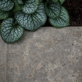 ARDEX FLEX FL