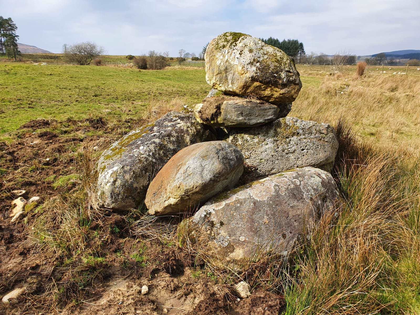 GLACIAL DRIFT ROCKS