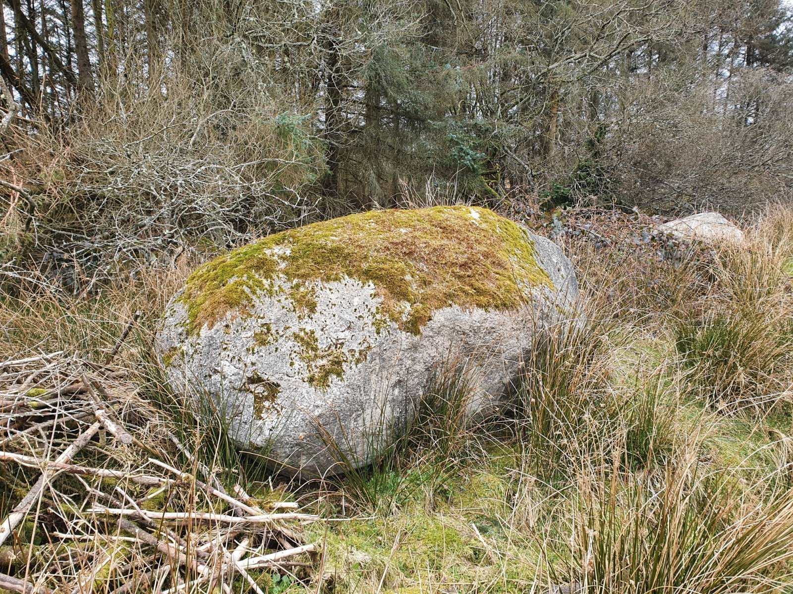 GLACIAL DRIFT ROCKS