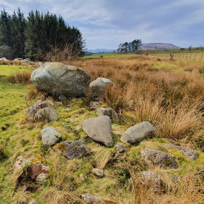 GLACIAL DRIFT ROCKS