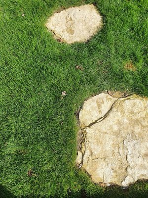 JURASSIC STEPPING STONES