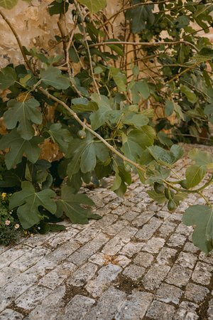 DERWENT COURTYARD COBBLES - 100mm by random lengths